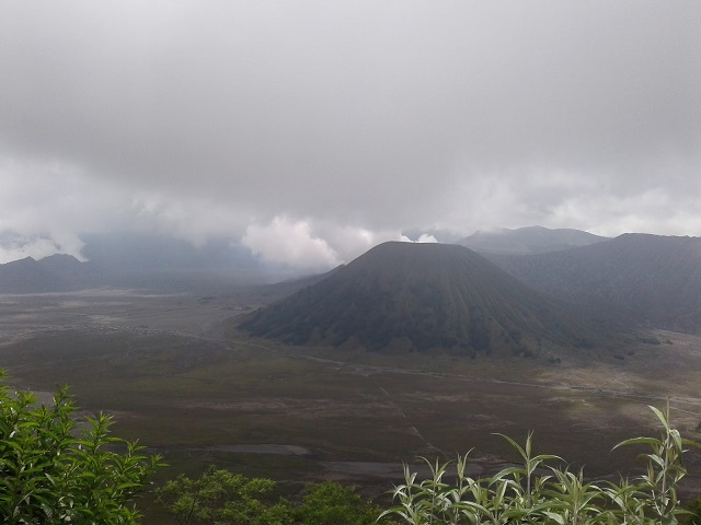 50 Hektare Lahan Savana di Gunung Bromo Terbakar